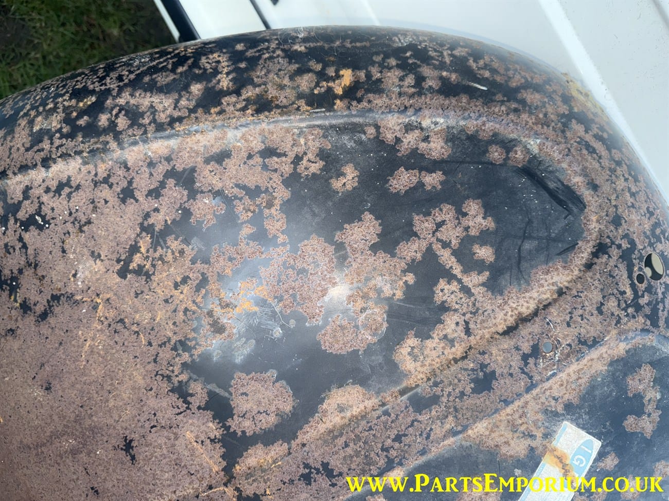 Reproduction Beetle Bonnet - Image 11