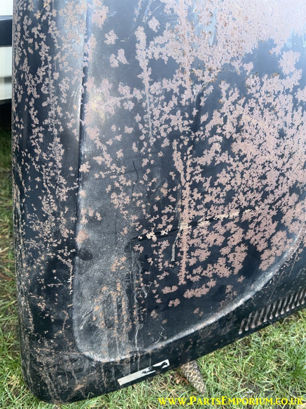 Reproduction Beetle Bonnet - Image 15